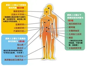 新肥胖指南关注五大问题，呈现三个特点