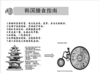 怎样吃最健康？----世界各国家营养指南对比