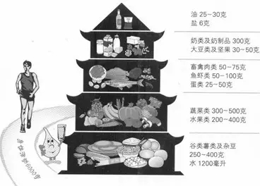 怎样吃最健康？----世界各国家营养指南对比