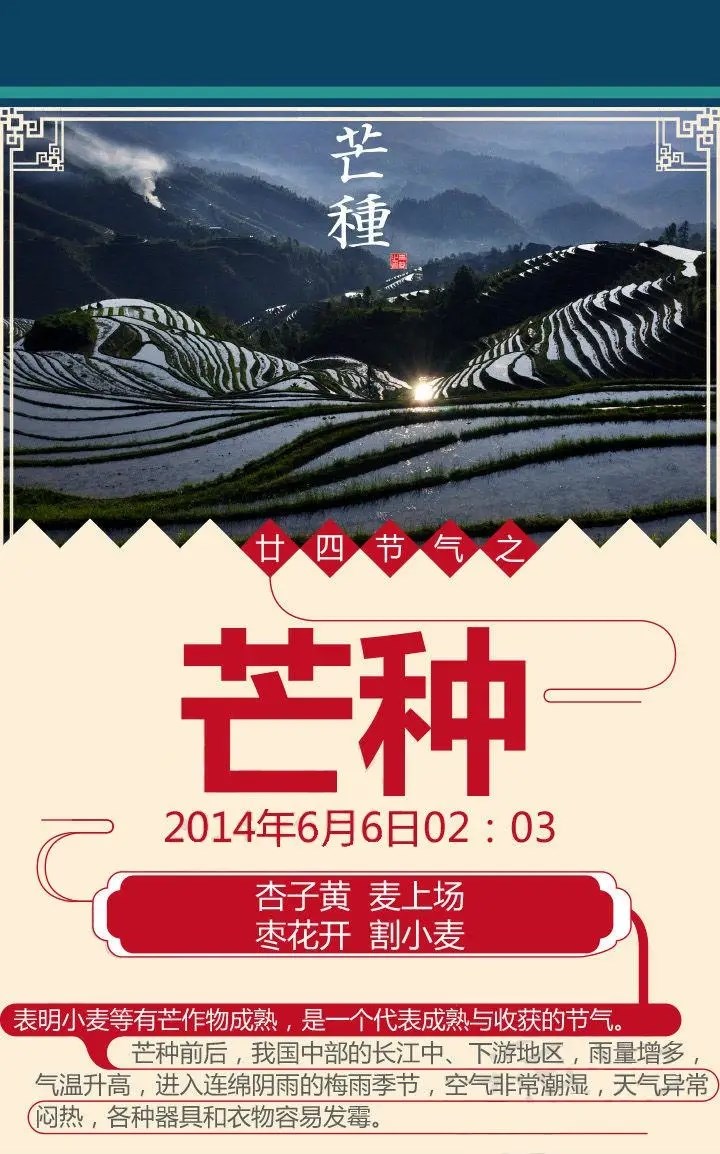 二十四节气之芒种