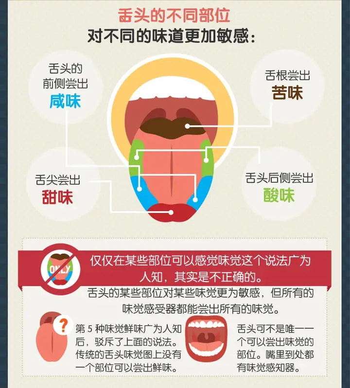 舌尖上科学——你了解味觉吗？