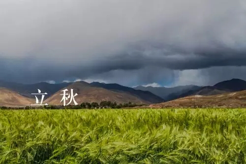 节令养生——立秋食疗养生