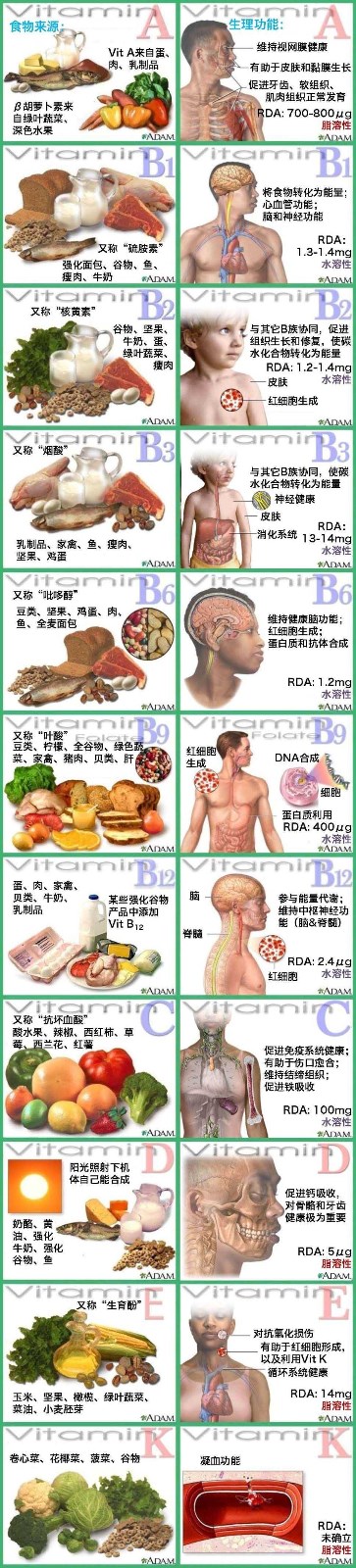 维生素的来源及功能