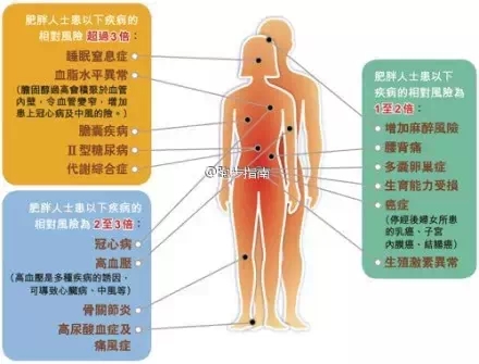 减肥的5对5错：要减少摄入热量 ，不要不吃早饭
