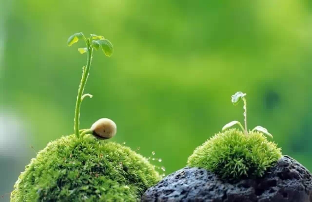 9个方法教你随时保持心情愉快！